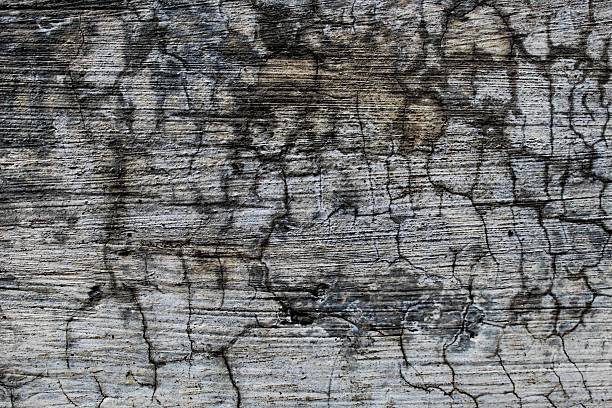 black background, Detailed surface featuring cracked paint layers revealing the concrete underneath, perfect for texture and background.