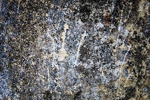 black background, The image shows a close-up of a weathered surface with intricate cracks and aged texture, depicting a natural aged look suitable for backgrounds or conceptual art related to time and decay.