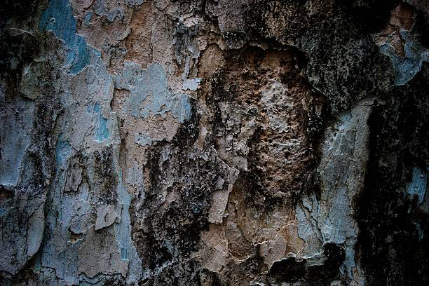 black background, The image shows a close-up of a weathered surface with intricate cracks and aged texture, depicting a natural aged look suitable for backgrounds or conceptual art related to time and decay.