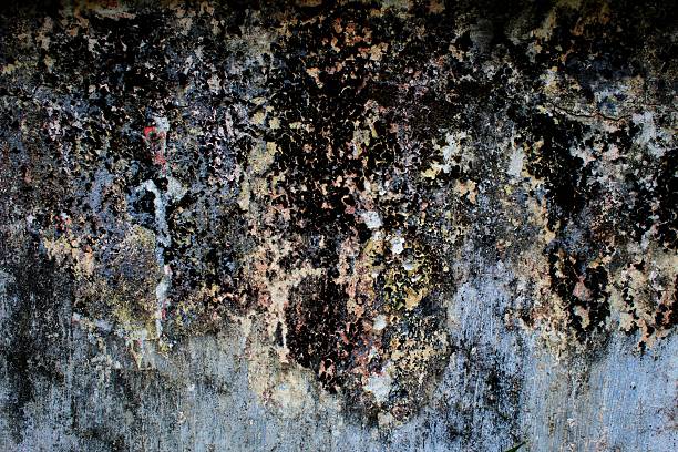istock Close-Up Texture of Weathered Painted Wall with Exposed Concrete 2224674789