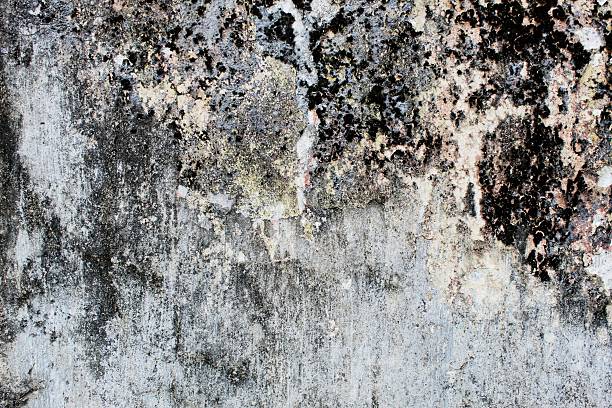 istock Close-Up Texture of Weathered Painted Wall with Exposed Concrete 2224674843