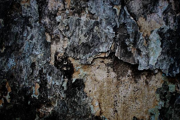 black background, Detailed surface featuring cracked paint layers revealing the concrete underneath, perfect for texture and background.