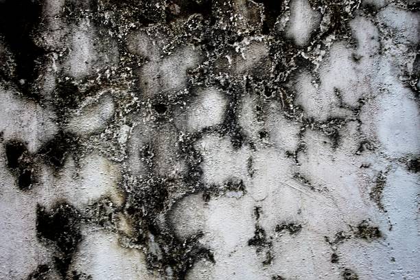 black background, Detailed surface featuring cracked paint layers revealing the concrete underneath, perfect for texture and background.