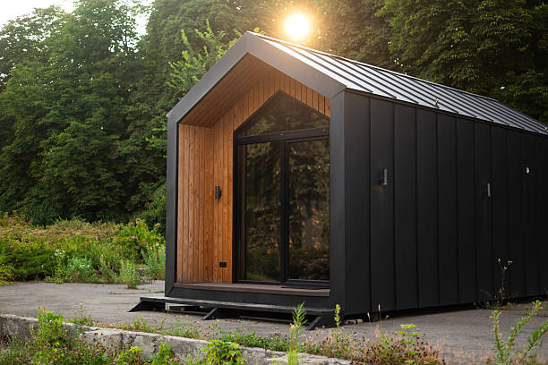 Modern tiny house with wooden and black metal facade, surrounded by greenery, lit by soft evening sunlight.