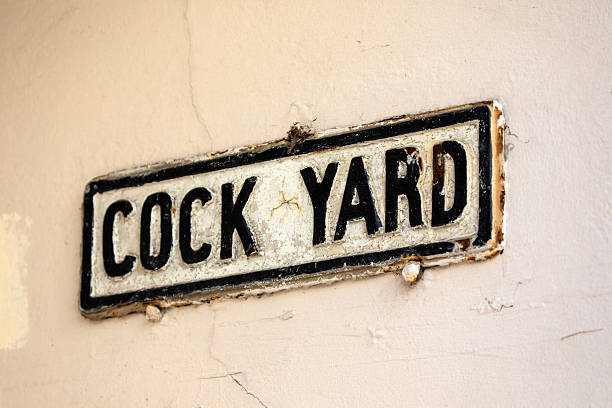 istock Cock Yard in Norwich, UK 2224678893