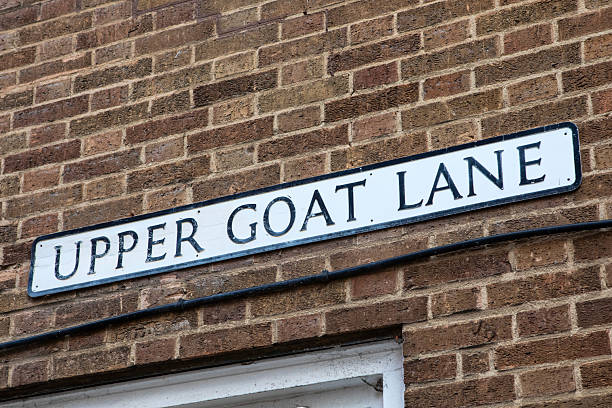 istock Upper Goat Lane in Norwich, UK 2224678911