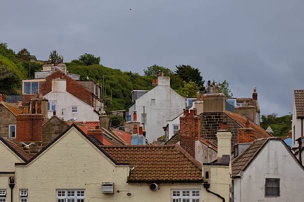 istock A collection of rooftops and buildings nestled beneath a cloudy sky 2224680623