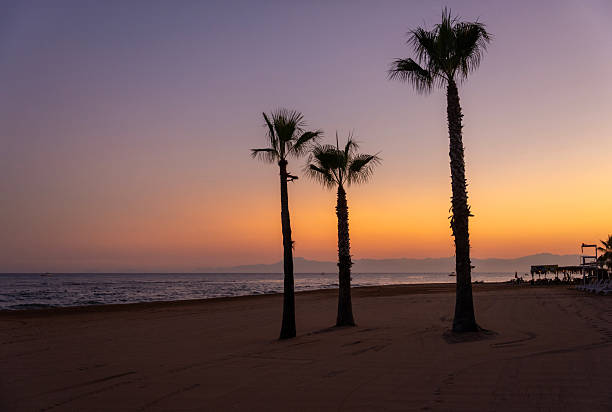 Scenic sunset view by the sea with palm trees and coastal buildings, creating a calm and relaxing atmosphere. Perfect for concepts of summer, travel, vacation, coastal lifestyle, and romantic evenings.
