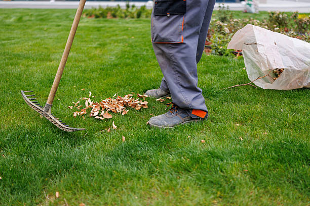 istock Autumn work in the garden on a cloudy day 2224686409