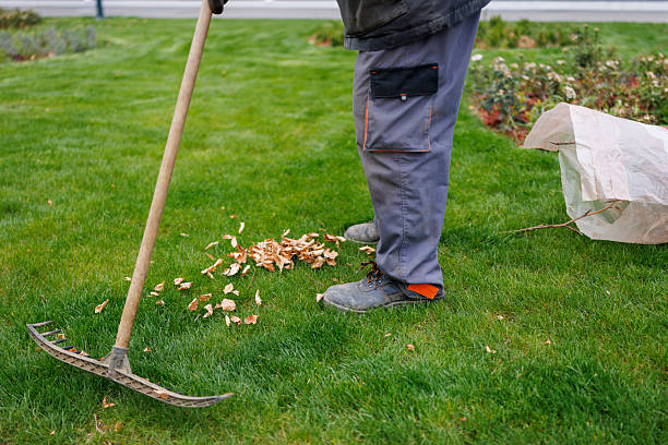 istock Autumn work in the garden 2224686431