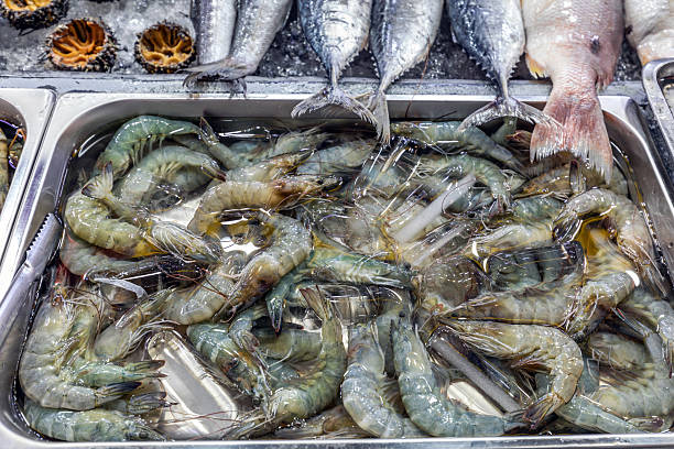 Various seafood at the market in Phu Quoc, Vietnam