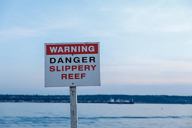 istock Warning sign indicating danger and slippery reef near a calm waterfront, with a ship visible in the distance under a clear sky 2224691189