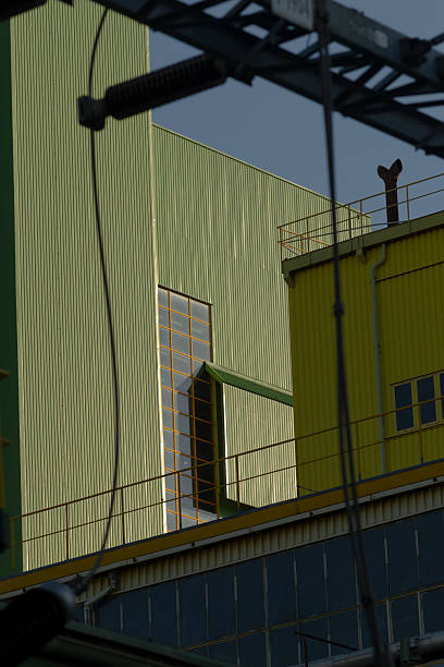 A bright yellow building contrasts with a green one in the back