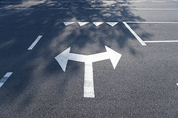 This image shows a road marking on asphalt, highlighting a traffic direction symbol with options to turn left or go straight, surrounded by parking lines and soft tree shadows.