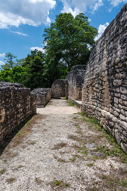 istock Caracol Mayan Archaeological Zone in Belize 2224697539