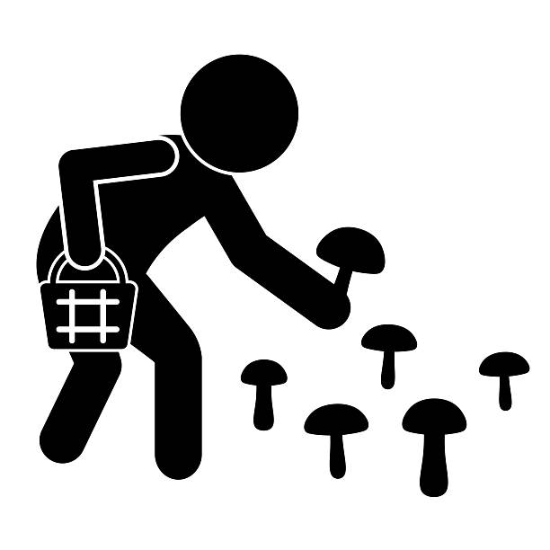 ilustracja sylwetki osoby zbierającej grzyby - grzybobranie stock illustrations