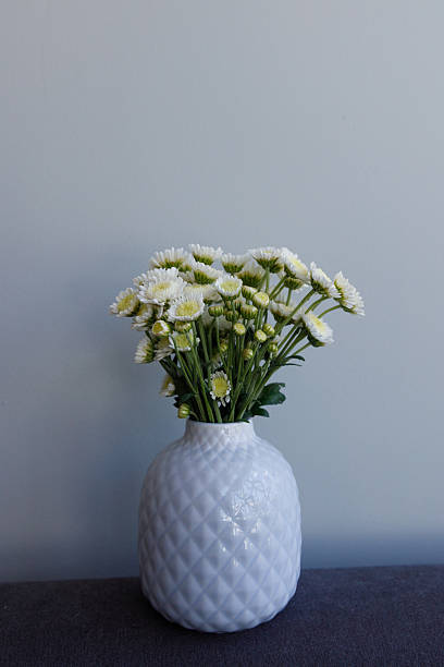 istock Beautiful White Flower Arrangement in a Stylish Ceramic Vase on a Soft Upholstered Surface Against a Minimalist Light Gray Wall, Perfect for Home Decor Inspiration or Floral Arrangements 2224699535