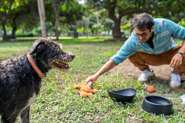 istock Man playing with mixed-breed dog in the park 2224704675