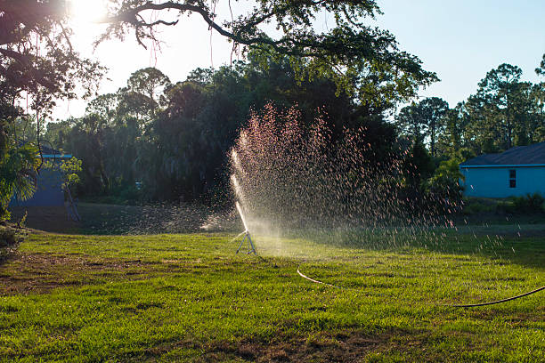 istock Sprinkler watering lawn grass during dry season 2224705701