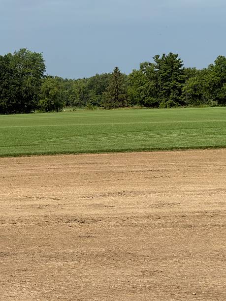 istock Sod farm in Michigan 2224709637