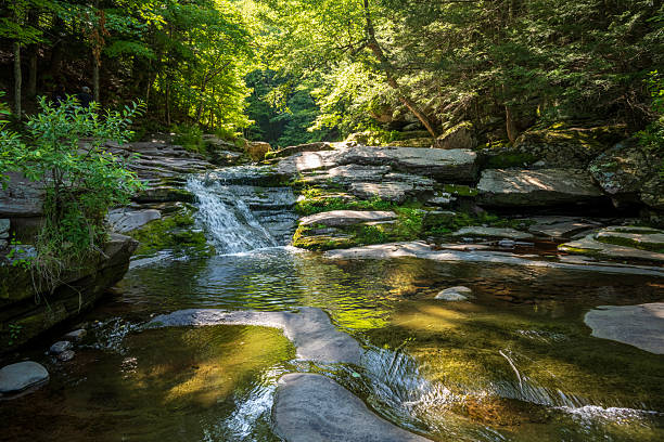 Scenic creek upstream of Kaaterskill Falls in Summer, Catskill Mountains, New York, USA