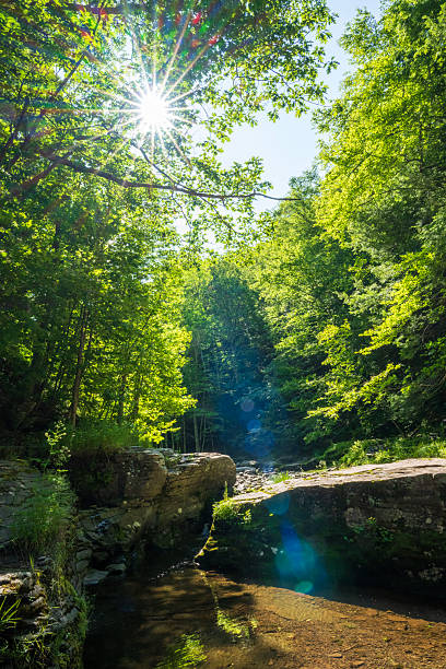 Scenic creek upstream of Kaaterskill Falls in Summer, Catskill Mountains, New York, USA