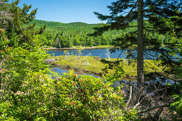 Scenery at North South Lake State Park in Summer, Catskill Mountains, New York, USA