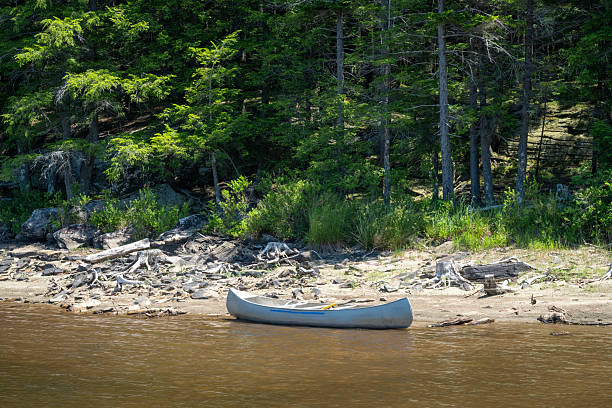 Teenager in canoe viewing Native American pictographs in the Boundary Waters Canoe Area Wilderness.