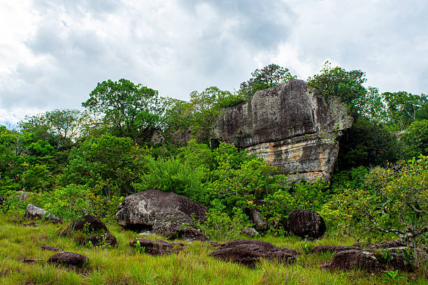 istock Lush Landscape in Guaviare, Colombia 2224710971
