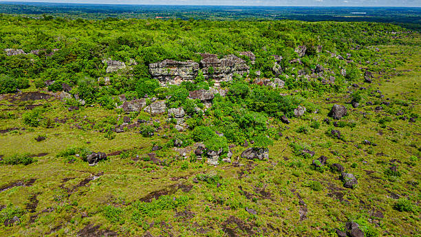 istock Lush Landscape of Guaviare 2224711089