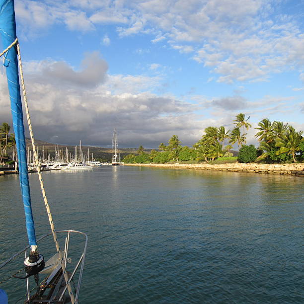 istock Sailboats moored in a yacht harbor 2224711099