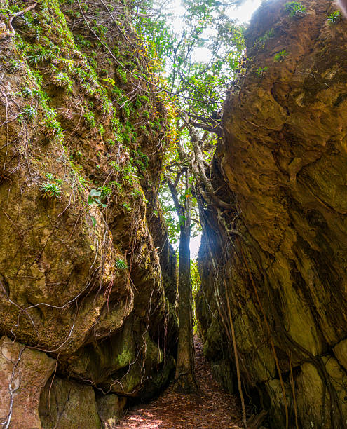 istock Lush Canyon in Guaviare 2224711684
