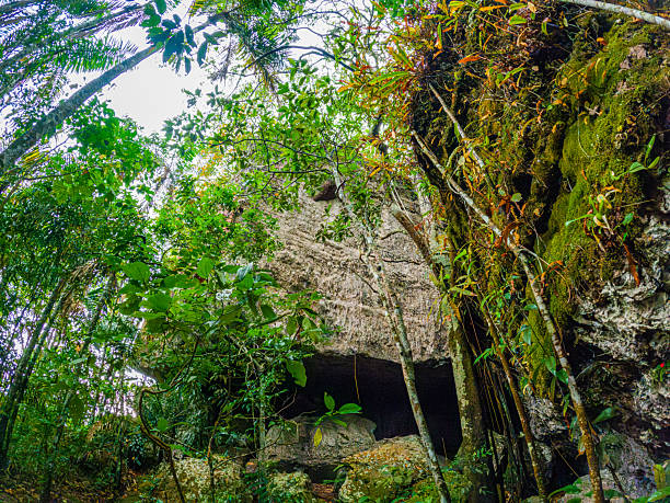 A stunning view of dense jungle vegetation surrounding a large rock formation in Guaviare, Colombia, showcasing the region's natural beauty.
