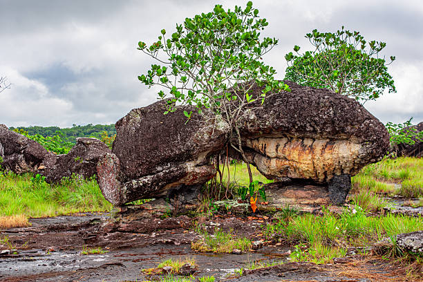 istock Unique Rock Formation in Guaviare 2224711816