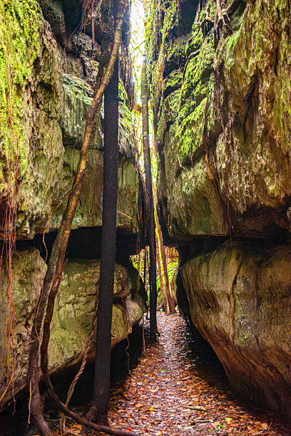 istock Mysterious Rock Canyon in Guaviare 2224711844