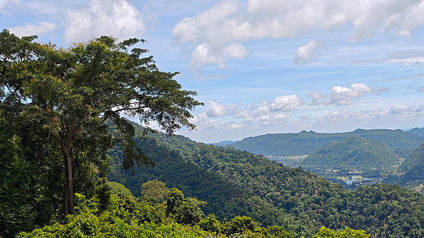 istock Mountains and trees, Khao Yai nature view 2224712517