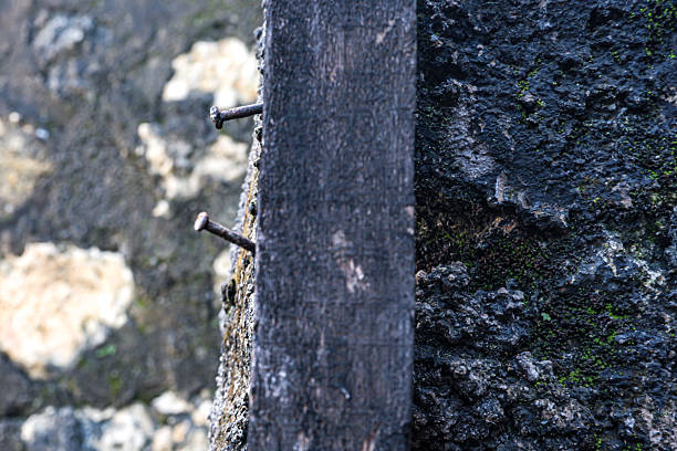 A rusty nail stuck in the rotten wood