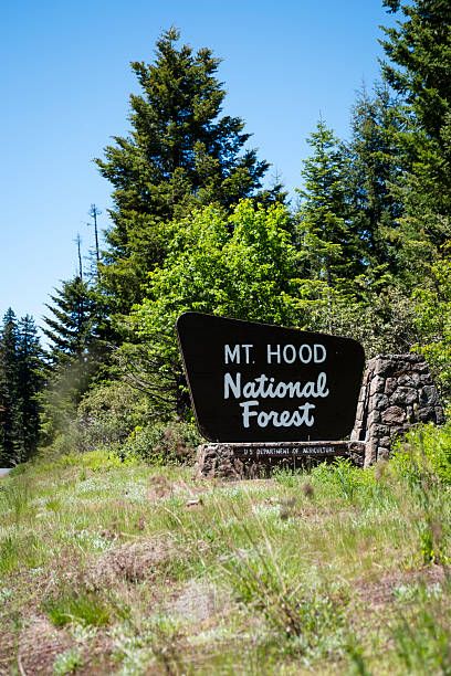 istock Mt. Hood National Forest Sign 2224714889