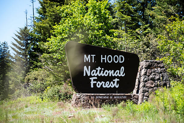 istock Mt. Hood National Forest Sign 2224714901