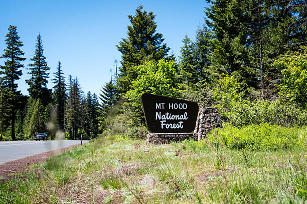 istock Mt. Hood National Forest Sign 2224714908