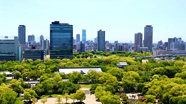 istock A city with trees and buildings 2224715203