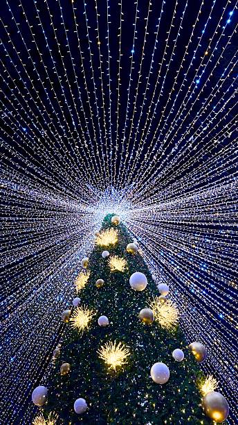 istock A christmas tree with lights in Mex, Mexico 2224715206