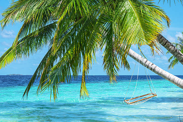 istock Swing hanging from coconut palm tree on tropical beach by the turquoise sea 2224717504