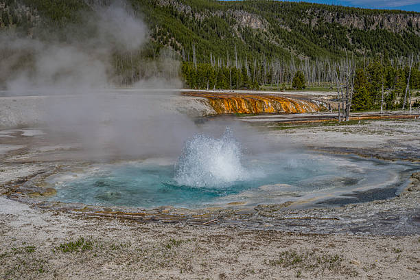 Spouter Geyser at the Black Sand Basin. Geothermal activity in Yellowstone National Park. The vivid hues are primarily due to the presence of thermophilic, or heat-loving, bacteria. These microorganisms thrive in the extreme temperatures of the geothermal