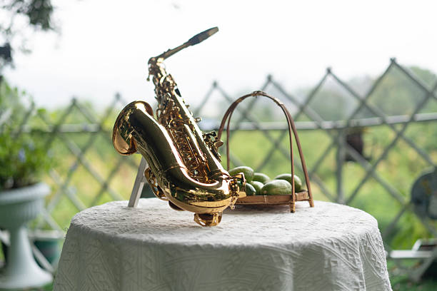 The saxophone in the garden