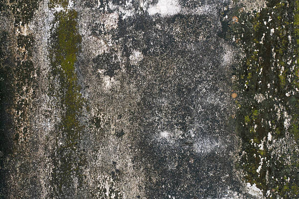 istock Weathered concrete wall with peeling paint and visible stains. 2224750786