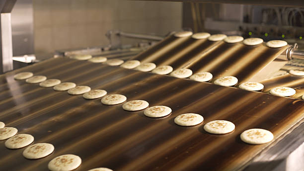 istock Freshly baked biscuits moving on conveyor belt in food processing plant, demonstrating industrial food production 2224752177