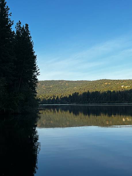 istock Curlew Lake at dawn 2224757372