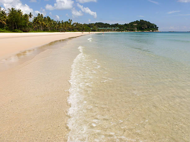 istock A beautiful tropical beach with palm trees on Bintan Island, Indonesia 2224762282