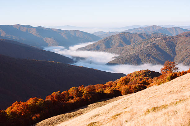 istock Red beech forest and morning fog in autumn mountains 2224762802